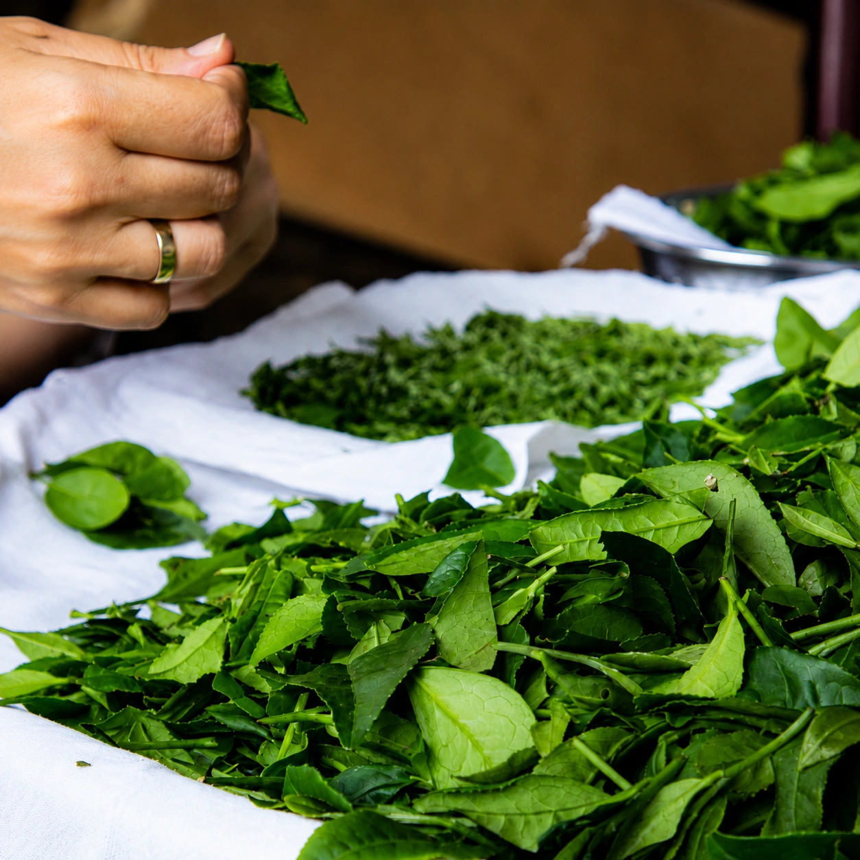 image-2026-06-13T110510.115.webp
